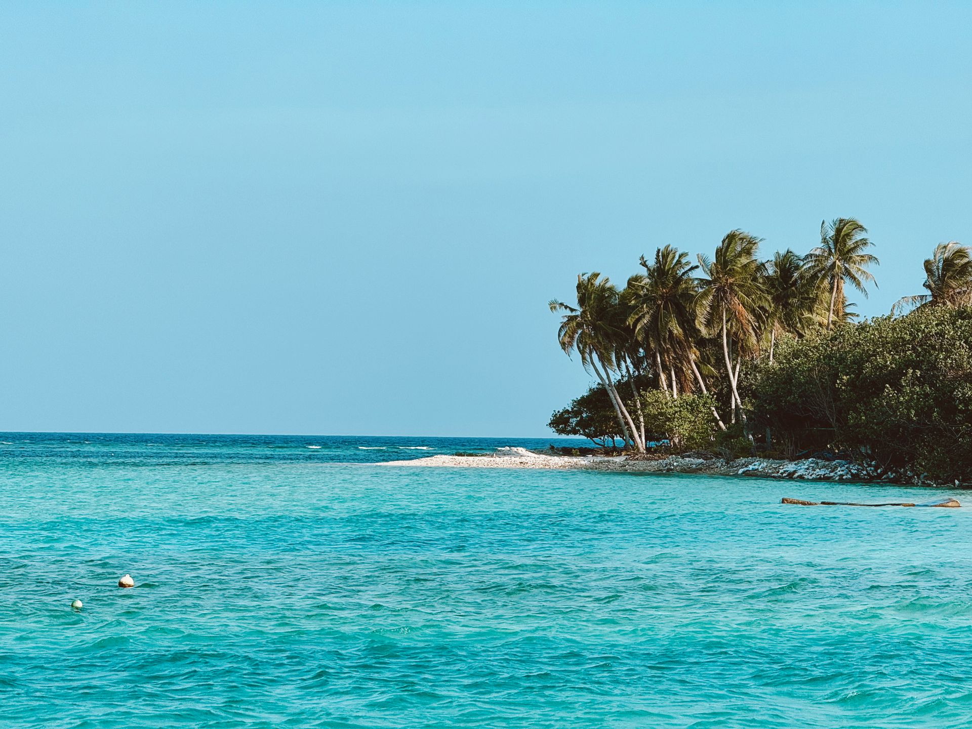 Playa tropical de Punta Cana con palmeras y mar azul